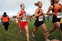 2010NCSXC GD2-2335